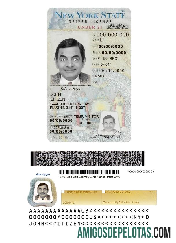 Carteira de motorista dos EUA em Nova York para menores de 21 anos baixar para verificação